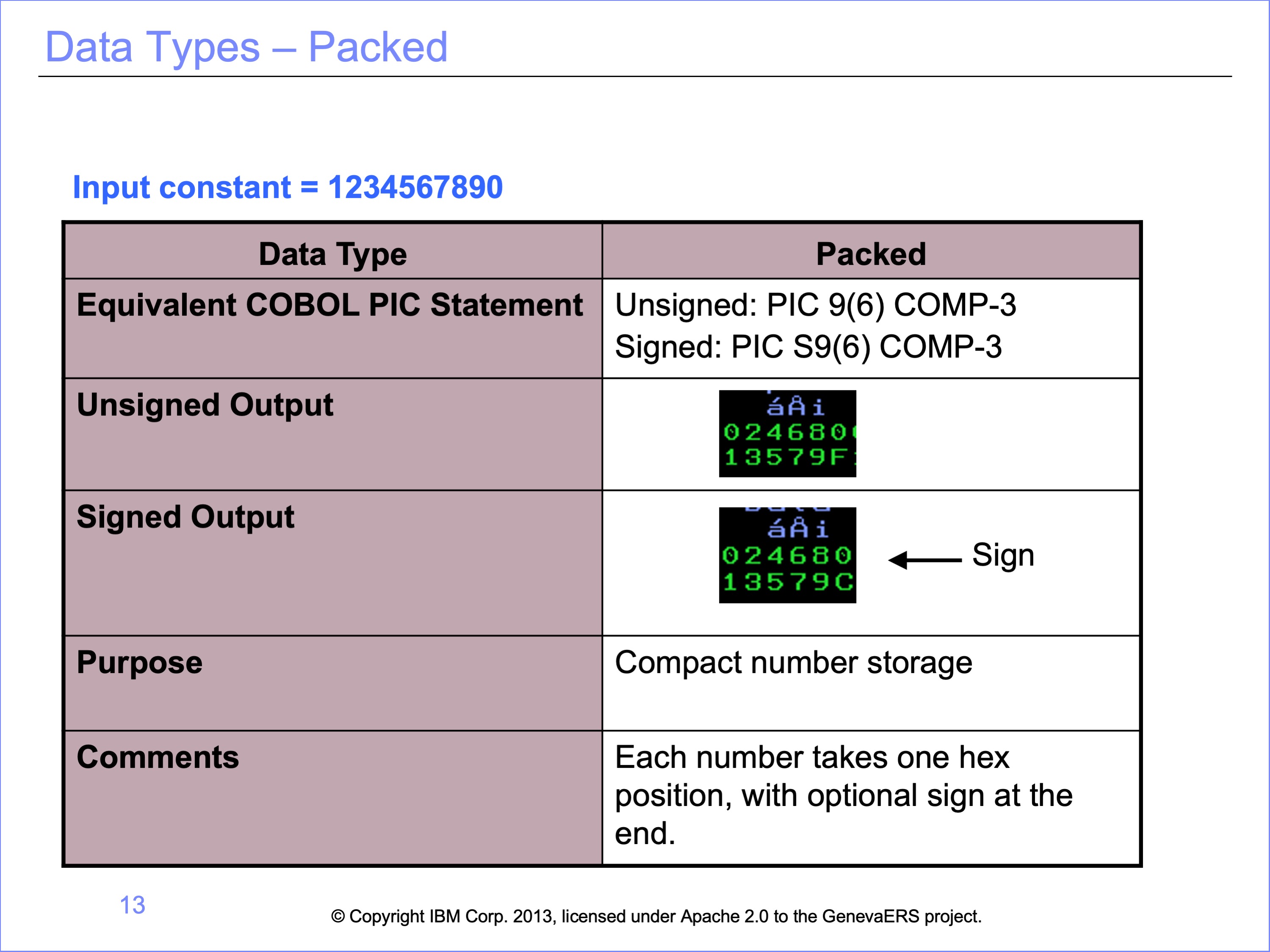 Packed decimal example display.