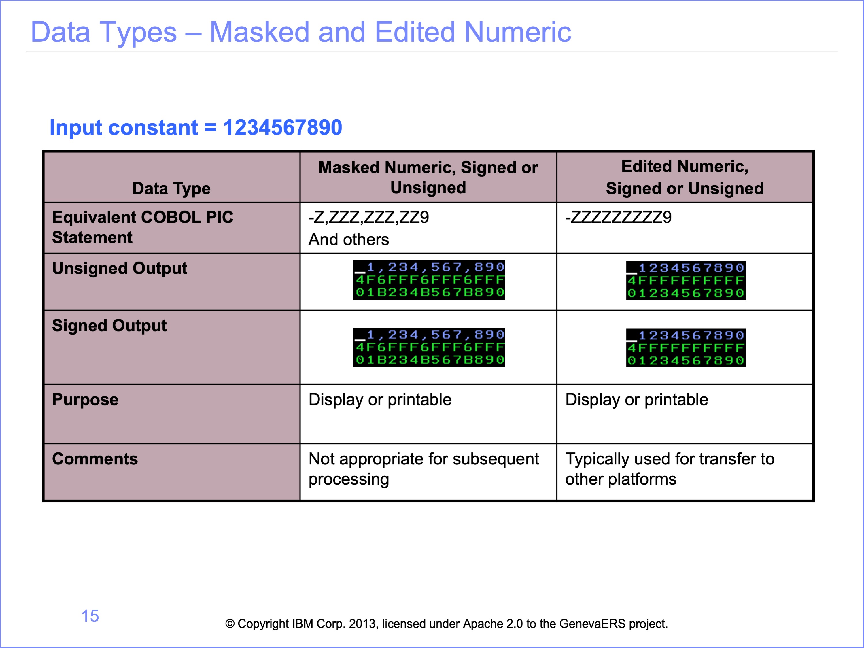 Masked and edited numeric example displays.